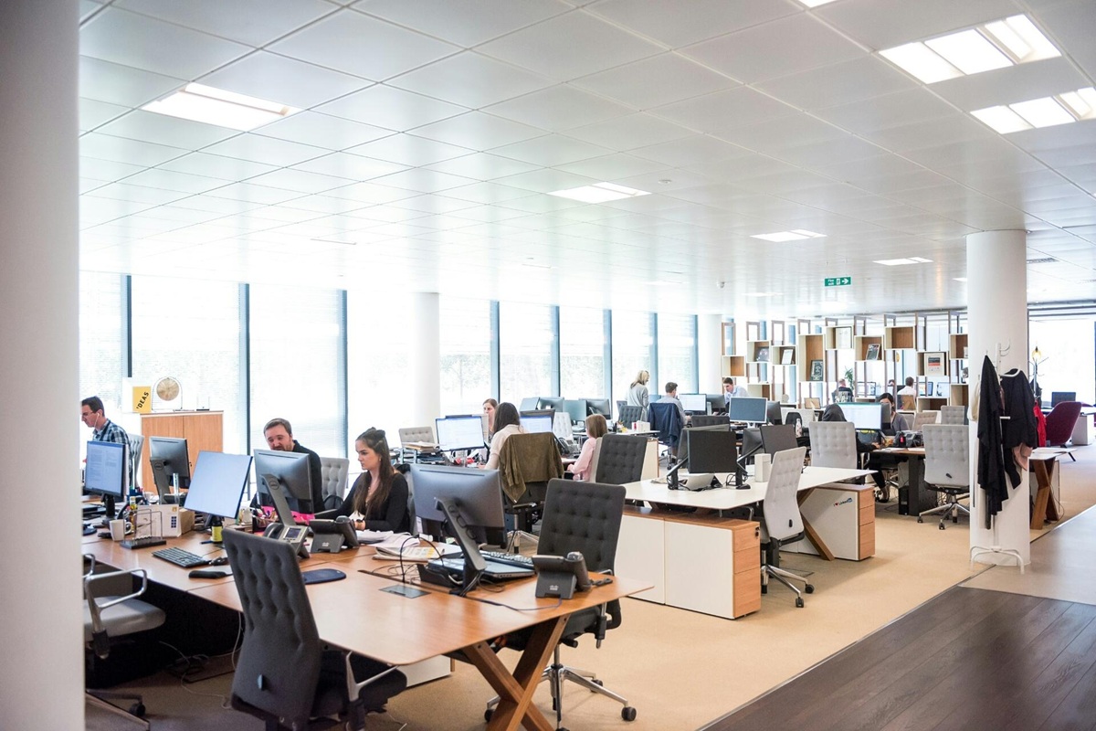 Expert team working in modern office